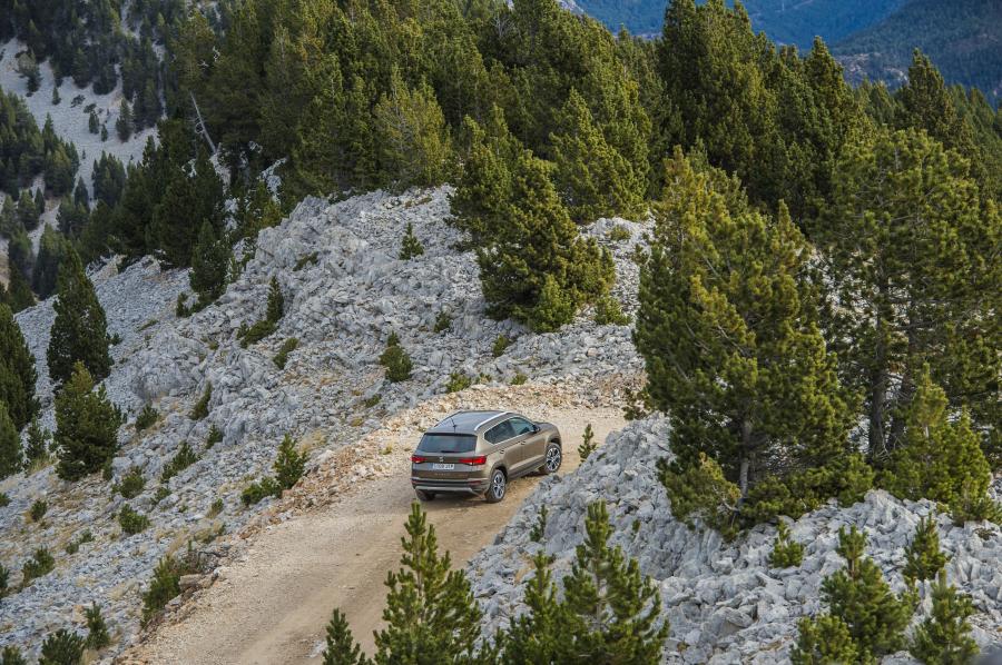  Seat Ateca Ecomotive 2016 года  (WW) (фото 11 из 30)